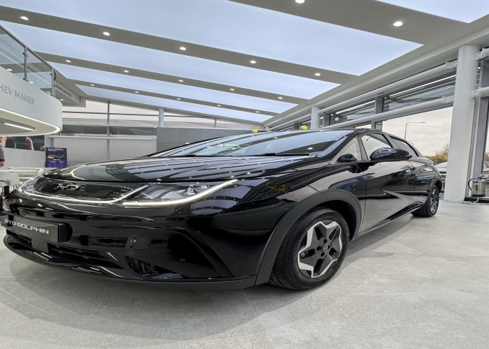 BYD 
                                                            for Sale for Sale