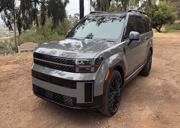 JEEP 
                                                            for Sale for Sale